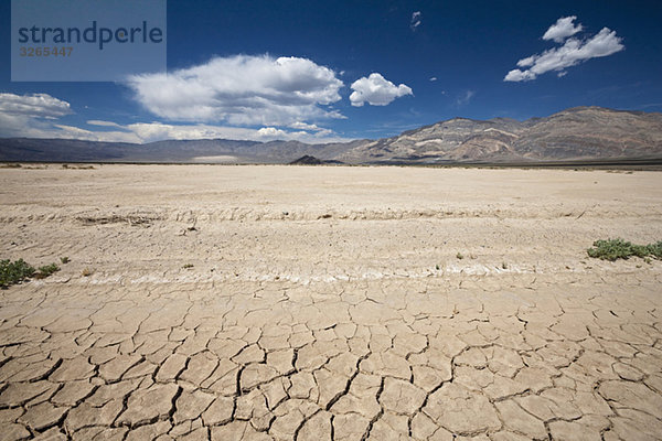 USA  Kalifornien  Death Valley  Rissiger Boden