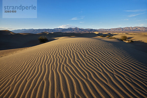 USA  Kalifornien  Death Valley  Sanddünen