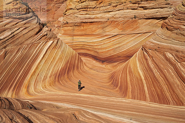 USA  Utah  Coyote Buttes  Die Welle und einzelne Touristen