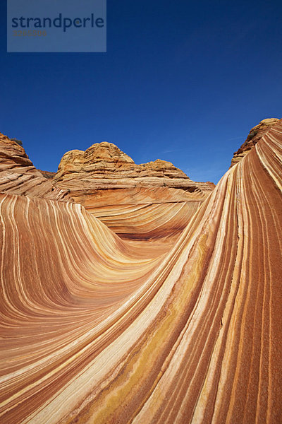 USA  Utah  North Coyote Buttes  Die Welle