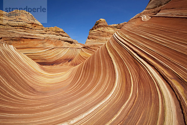 USA  Utah  North Coyote Buttes  Die Welle