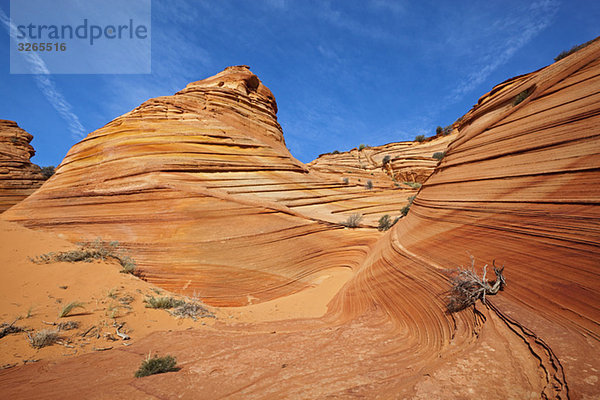 USA  Utah  South Coyote Buttes  Paria Canyon  Felsformationen