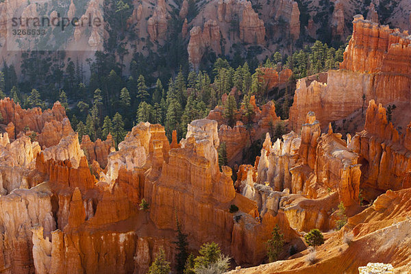 USA  Utah  Bryce Canyon Nationalpark  Sonnenaufgang