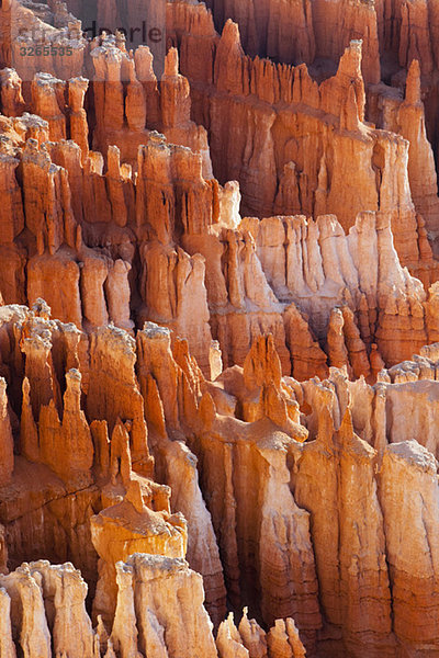 USA  Utah  Bryce Canyon Nationalpark