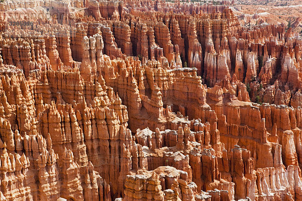 USA  Utah  Bryce Canyon Nationalpark