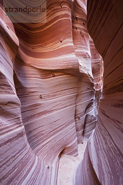 USA  Utah  Grand Staircase Escalante National Monument  Zebra-Slot  Nahaufnahme