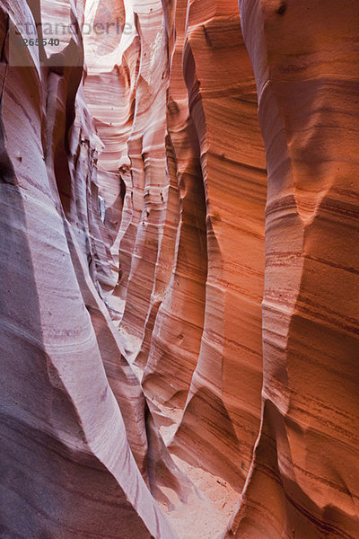 USA  Utah  Grand Staircase Escalante National Monument  Zebra-Slot  Nahaufnahme