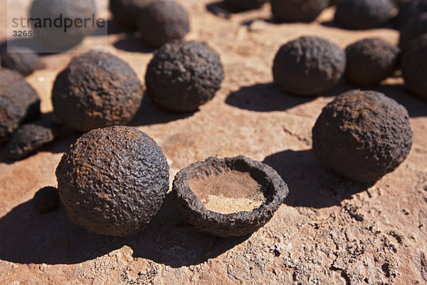 USA  Utah  Grand Staircase Escalante National Monument  Moqui Marbles