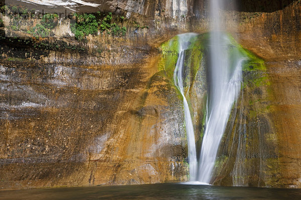 USA  Utah  Grand Staircase-Escalante National Monument  Calf Creek Falls