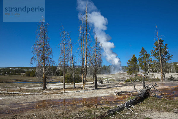 USA  Yellowstone Park  Wyoming  Schloss Geysir