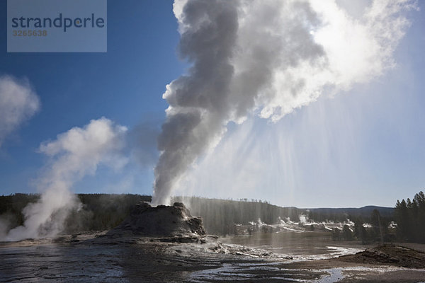 USA  Yellowstone Park  Wyoming  Schloss Geysir