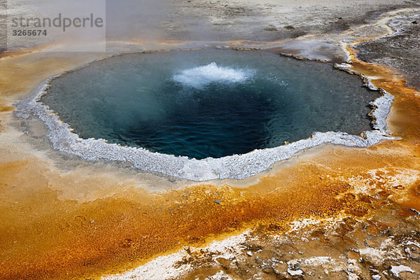 USA  Wyoming  Yellowstone Park  Haubenpool