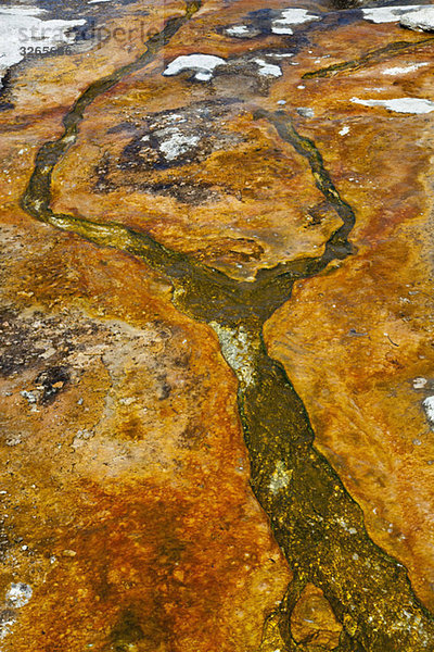 USA  Yellowstone Park  Heiße Quelle