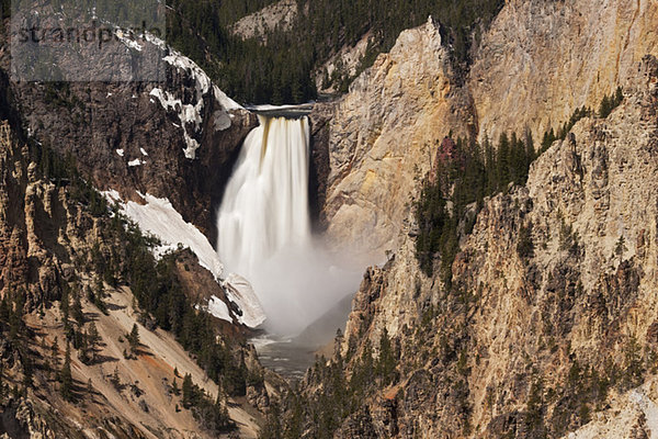 USA  Yellowstone Park  Untere Yellowstone Fälle