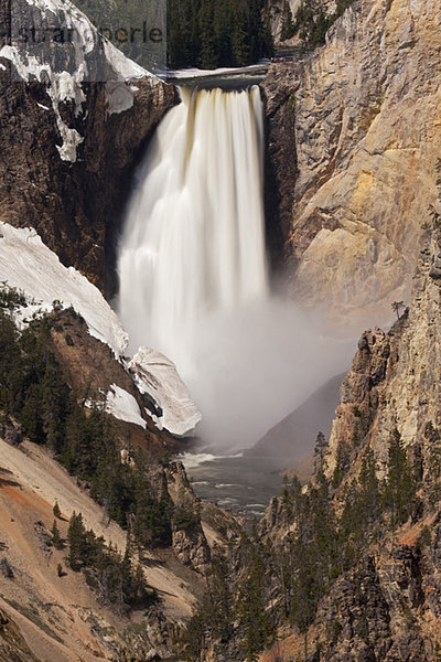 USA  Yellowstone Park  Untere Yellowstone Fälle