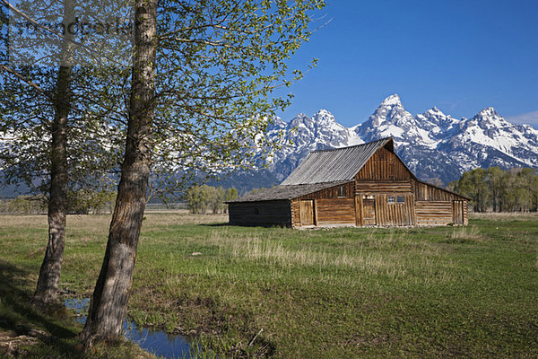 USA  Wyoming  Mormone Barn  im Hintergrund Treton Berge