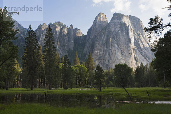 USA  Kalifornien  Yosemite Nationalpark