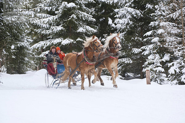 Austria  Salzburger Land  Couple riding in sleigh