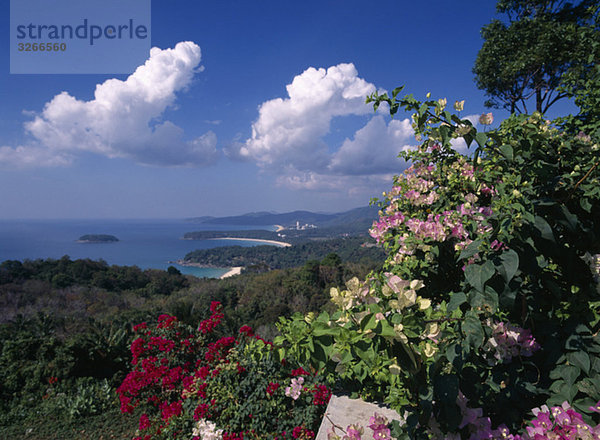 Asien  Thailand  Phuket  Landschaft  Blumenblüte im Vordergrund