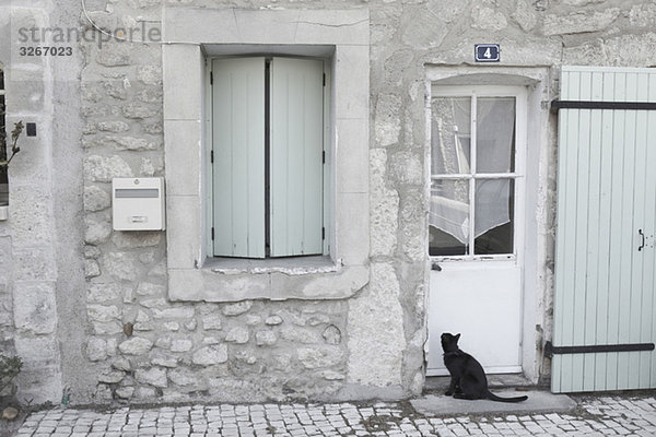 Frankreich  Provence  Katze vor der Haustür sitzend