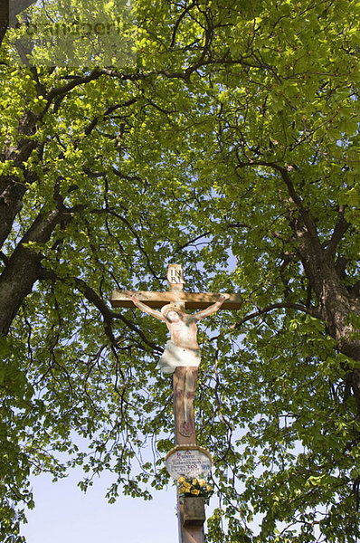 Österreich  Salzkammergut  Kreuz an der Straße  Tiefblick