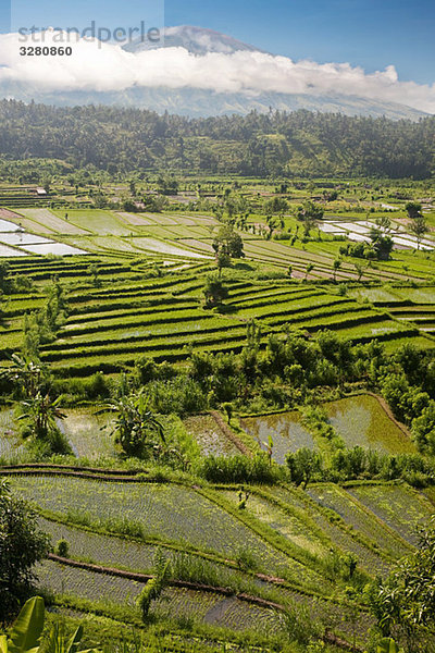 Gunung Abang Vulkan und Reisfelder in Bali
