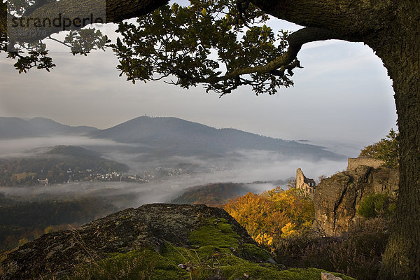 Blick über Rheintal mit Schloss Hohenbaden  Baden-Baden  Deutschland