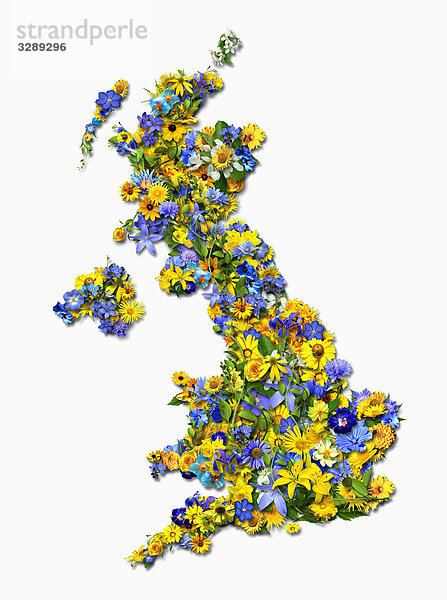 Großbritannien aus Blumen
