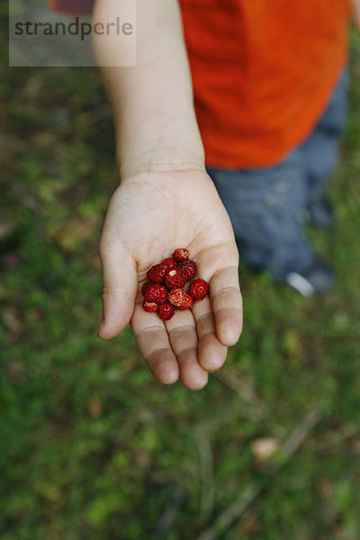 Detail eines Jungen mit wilden Erdbeeren