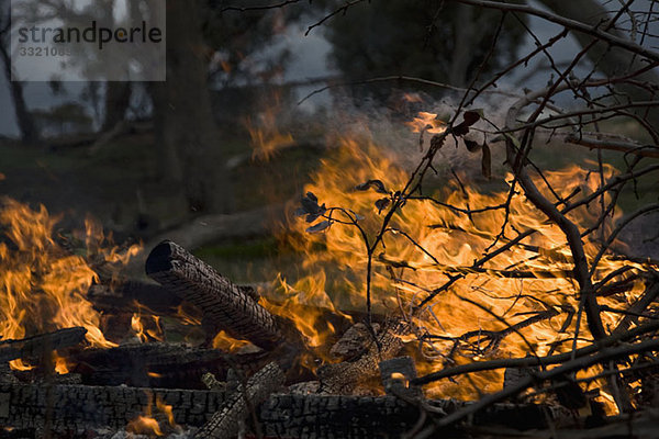 Detail eines Waldbrandes