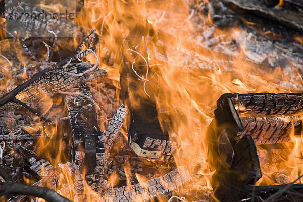 Detail eines Waldbrandes