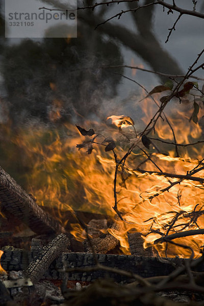 Detail eines Waldbrandes