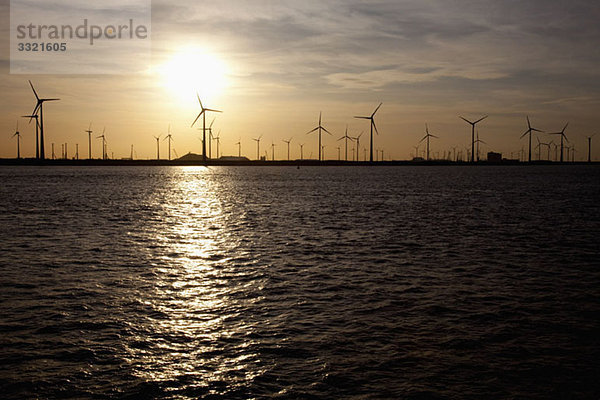 Blick auf Windkraftanlagen über Wasser bei Sonnenuntergang