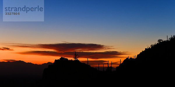 Silhouette der Landschaft im Saguaro Nationalpark bei Sonnenuntergang  Arizona  USA