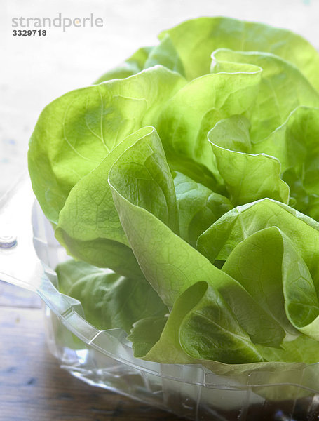 Close up of verpacktes Salat