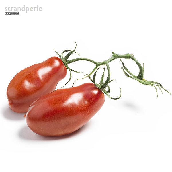 Marzano Tomaten auf weißem Hintergrund
