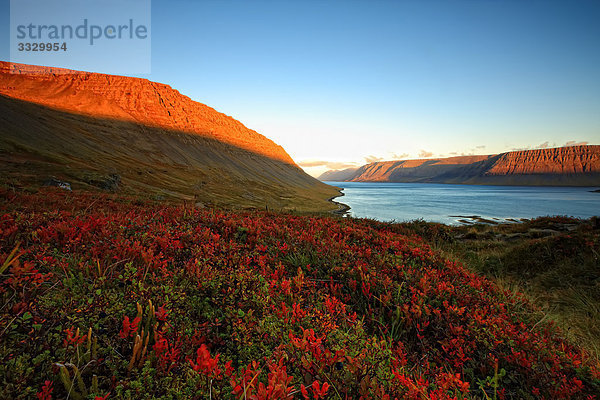 Sonnenaufgang  westlichen Fjorde  Island