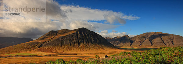 Panorama-Foto von einem sonnenbankbraun Tal mit Ackerland entlang der Straße nach Ísafjarðarbær  Western Fjorde  Island