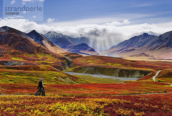 Wanderer  fallen Farben und Alaska Range  Denali-Nationalpark in Alaska