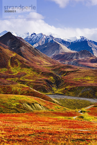 Herbstfarben und Alaska Range  Denali-Nationalpark in Alaska