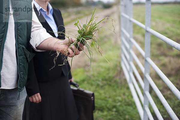 Landwirt zeigt Geschäftsfrau bei der Ernte