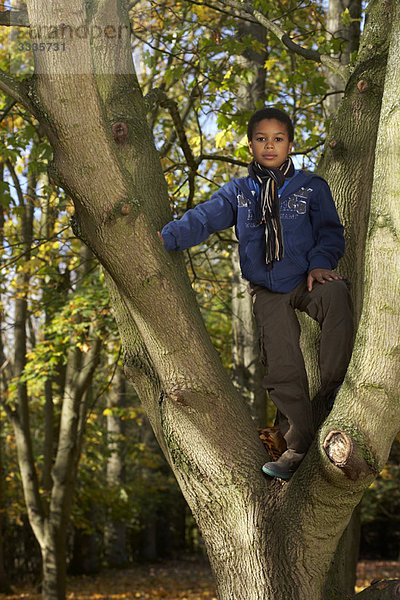 Junge auf einem Baum stehend