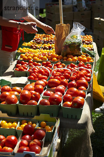 Frau verkaufen Tomaten  Riverdale Bauernmarkt  Toronto  Ontario