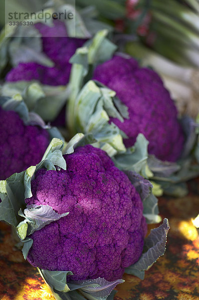 Purple Blumenkohl  Riverdale Bauernmarkt  Toronto (Ontario)