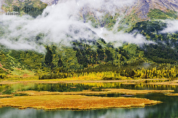 Tern Lake  Nebel und Herbst Farben  Alaska