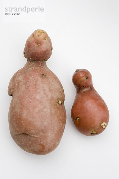 Seltsam geformte rote Kartoffeln