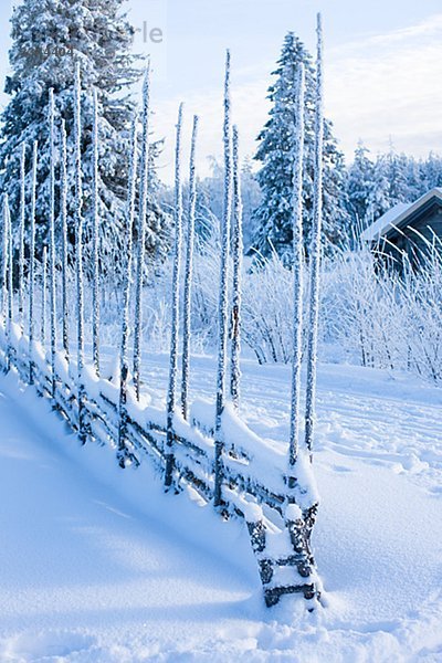 Winterlandschaft Alm  Schweden.