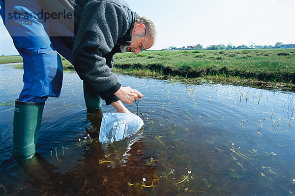 Ein Mann sammeln Froschspawn in der Umwelt Schutz-Ansicht  Schweden.