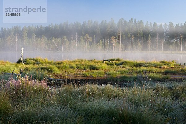 Ein See an früh am Morgen  Finnland.