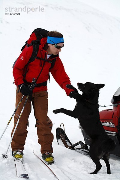 Skifahrer und einen Hund  Abisko  Lappland  Schweden.